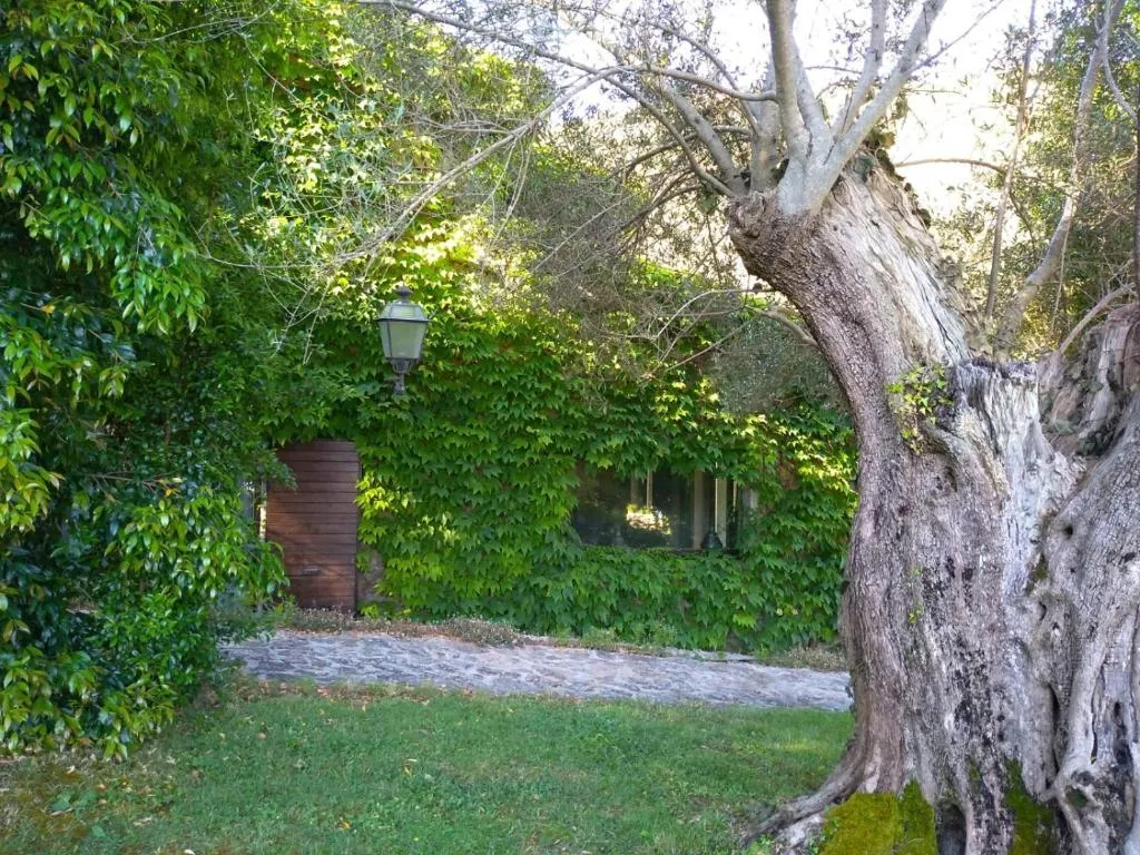 General view, L'Agnata di De André, Olbia