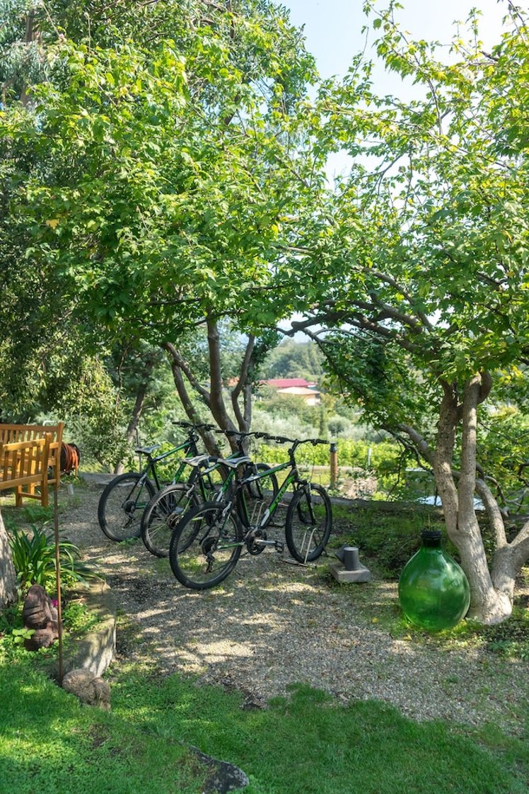 Monaci delle Terre Nere, Palermo