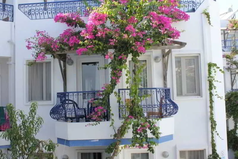 General view, Serhan, Bodrum