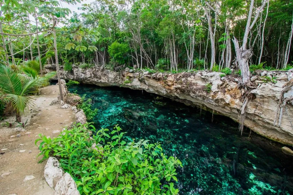 General view, Hotel Cenotes Casa Tortuga, Cancun Area