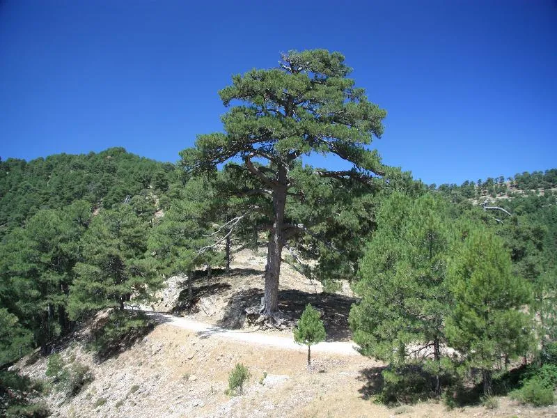 Sports and Entertainment, Campillo Apartamentos Rurales, Andalucia