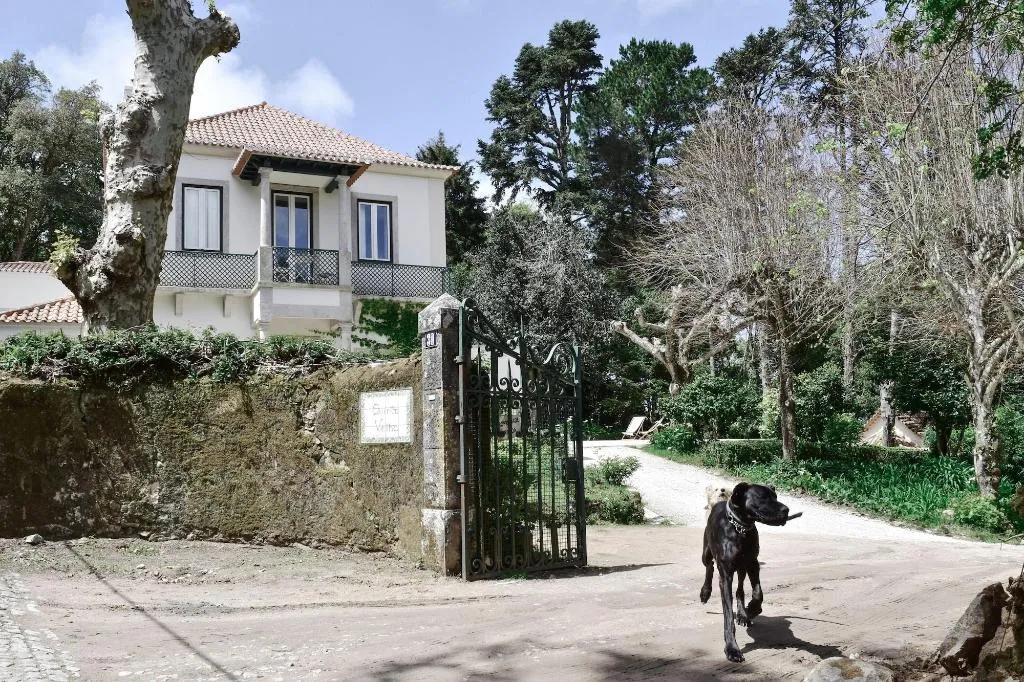 General view, Eighteen21 Houses - Quinta Velha, Lisbon