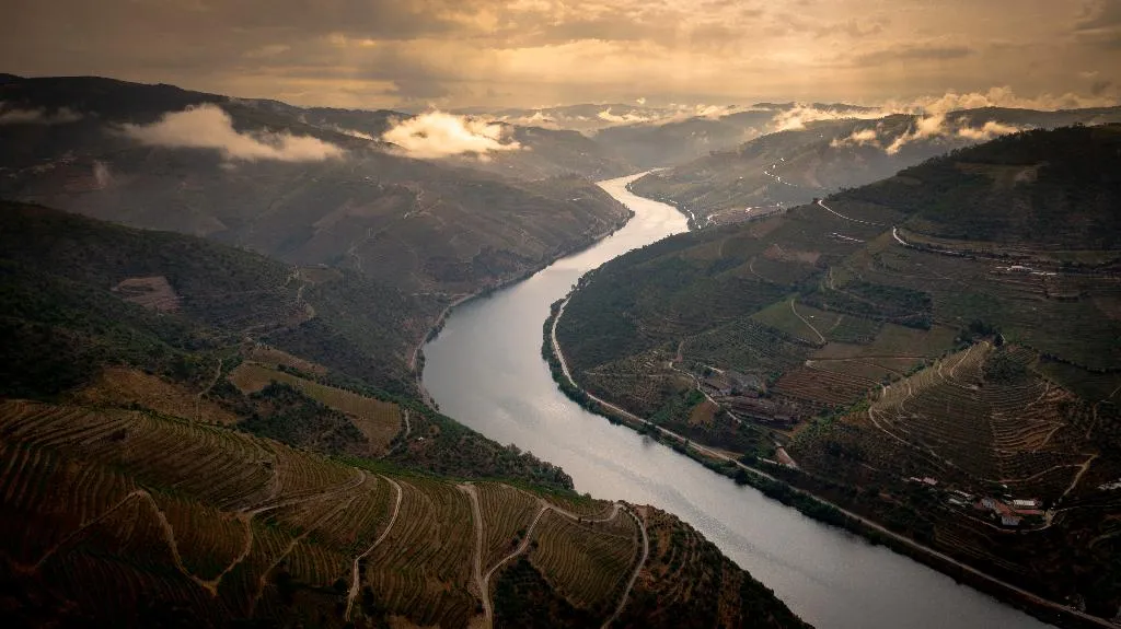 General view, Folgosa Douro Hotel, Porto