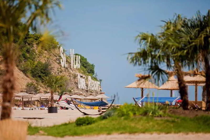 Beach, Dolphin, Bourgas
