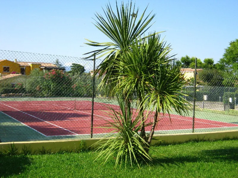 Sports and Entertainment, Hotel Le Mimose, Olbia