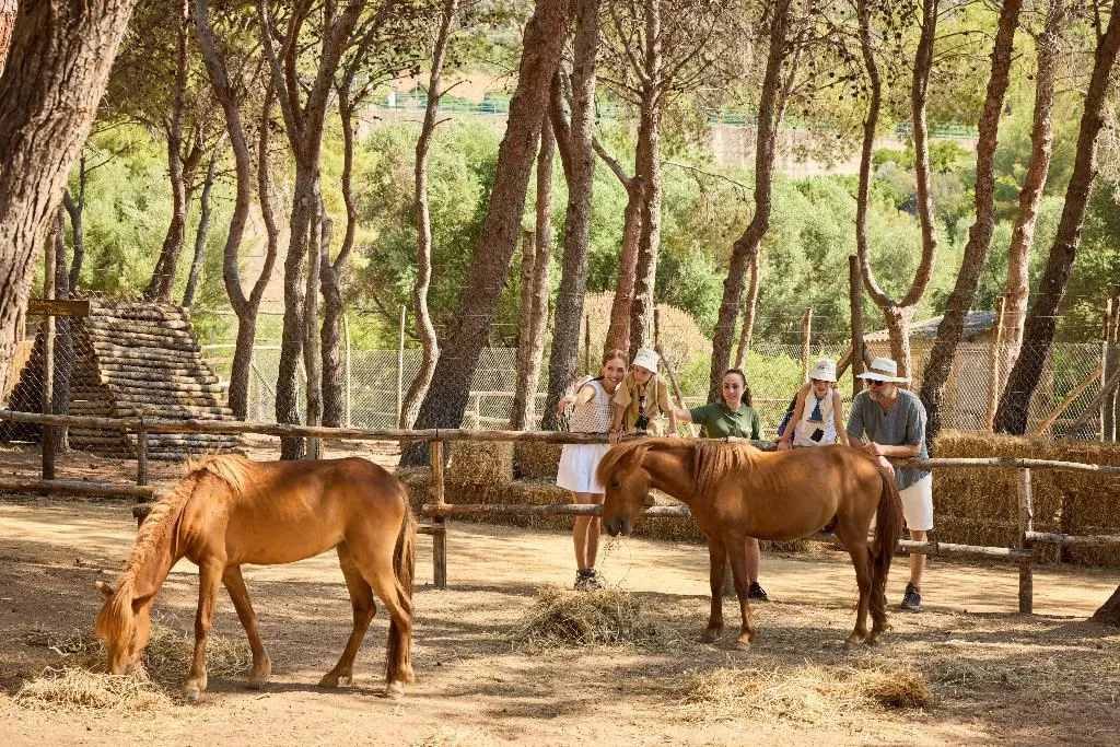Sports and Entertainment, Forte Village Resort Le Dune, Cagliari