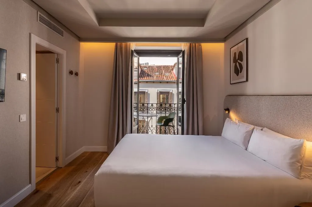 DOUBLE SINGLE USE STANDARD Room, Petit Palace Preciados, Madrid