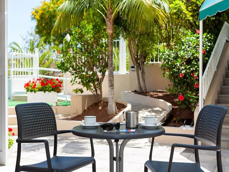 Terrace, Los Dragos Del Norte, Tenerife