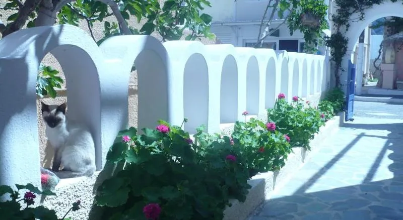 General view, Dilino, Santorini