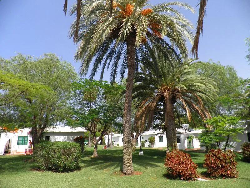 General view, Canary Garden Club, Gran Canaria