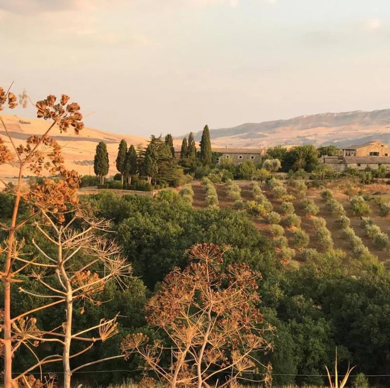 General view, Masseria San Giovanni Sgadari, Palermo