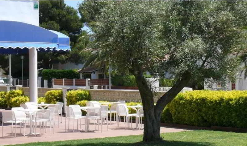 Terrace, Bay Hotel, Costa Brava