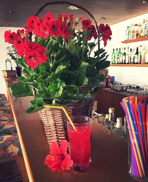 Bar, Blue Crane Hotel Apts, Cyprus