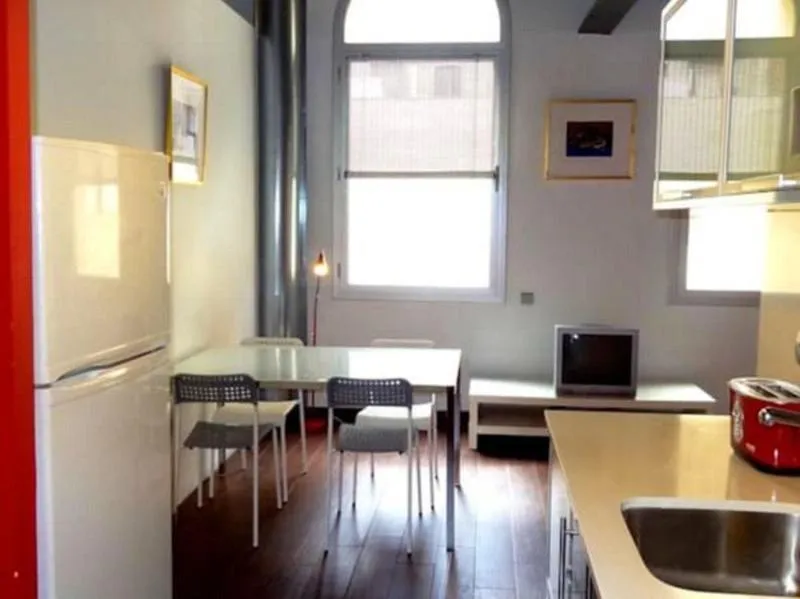 General view, City Center Apartments, Barcelona