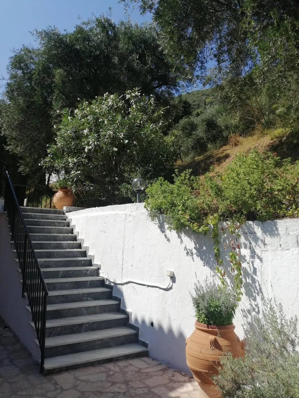 General view, Aronis Apartments, Corfu