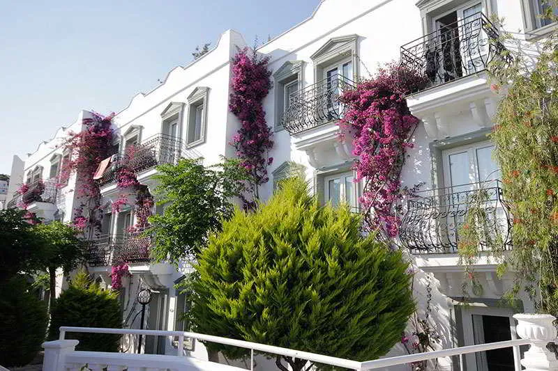 General view, Maison 48, Bodrum