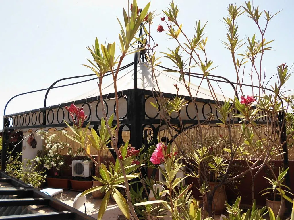 General view, Riad Bibtia, Marrakech