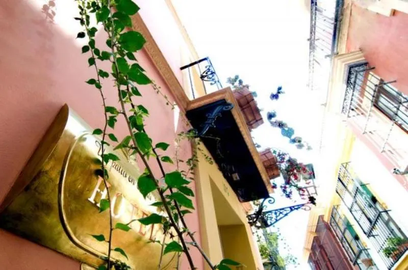 General view, Un Patio en Santa Cruz, Seville