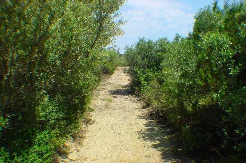 General view, Porto Puddu, Olbia
