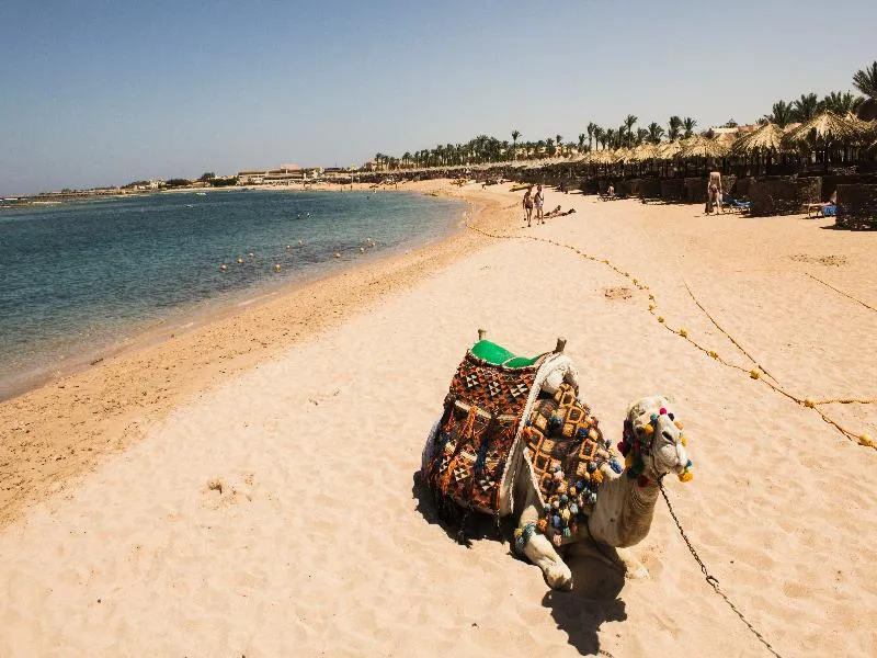 Sports and Entertainment, JAZ Makadina, Red Sea Riviera