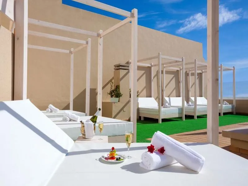Terrace, Dragos del Sur, Tenerife