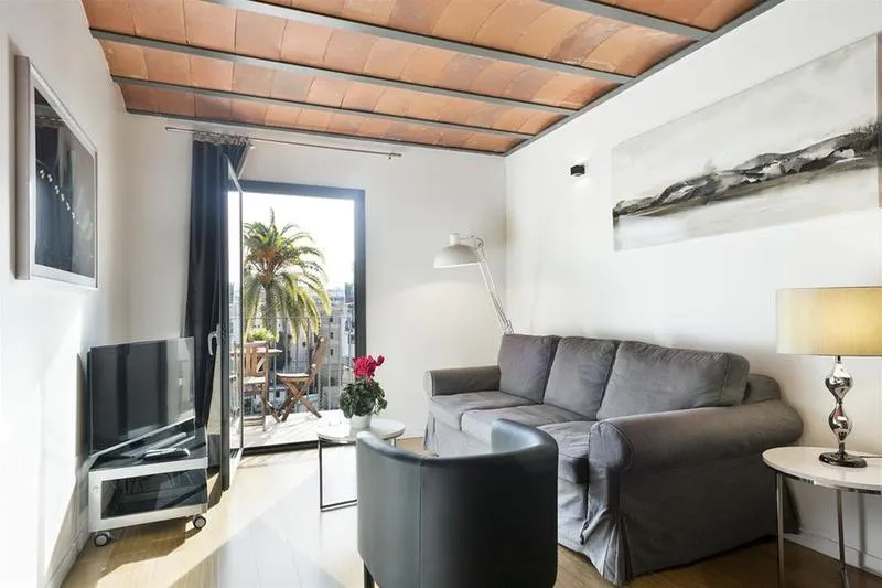 General view, Palou Suites Ramblas, Barcelona