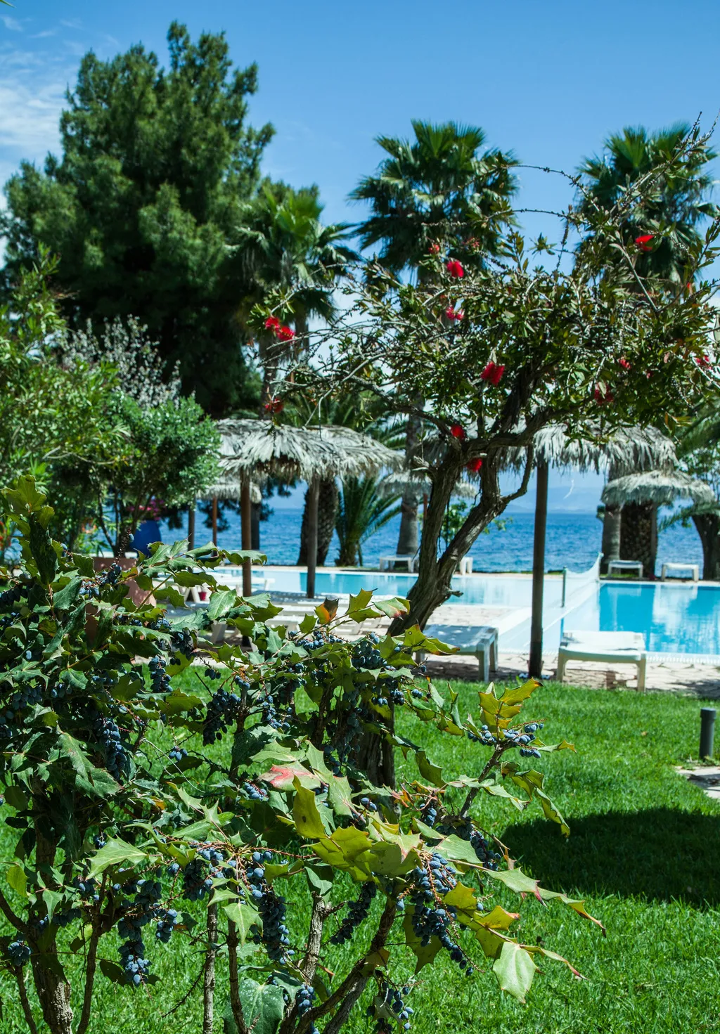General view, Corfu Senses Resort, Corfu