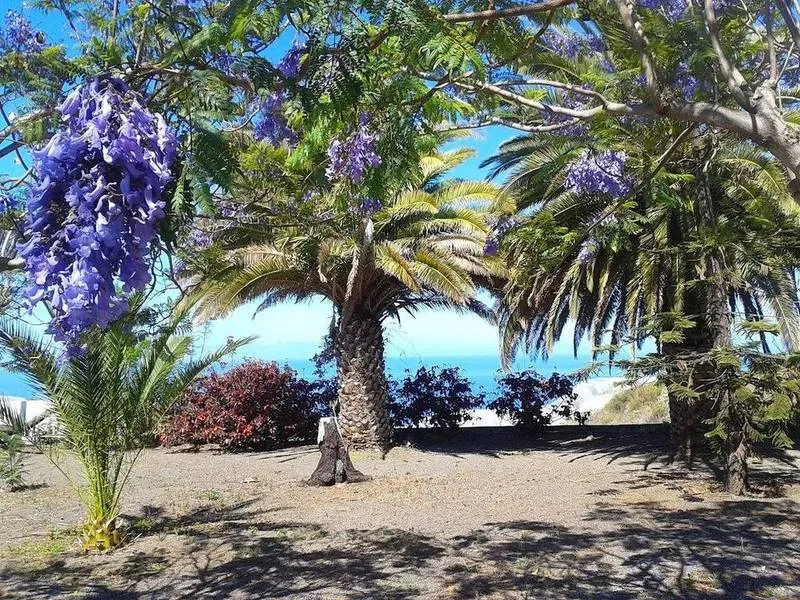 General view, Los Castellanos, La Palma