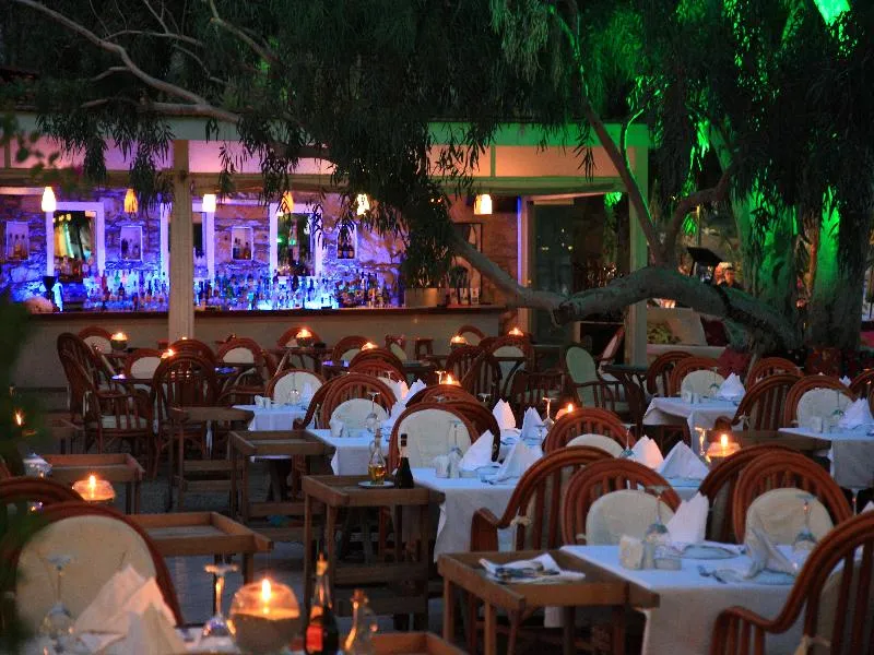 Bar, Okaliptus Hotel, Bodrum