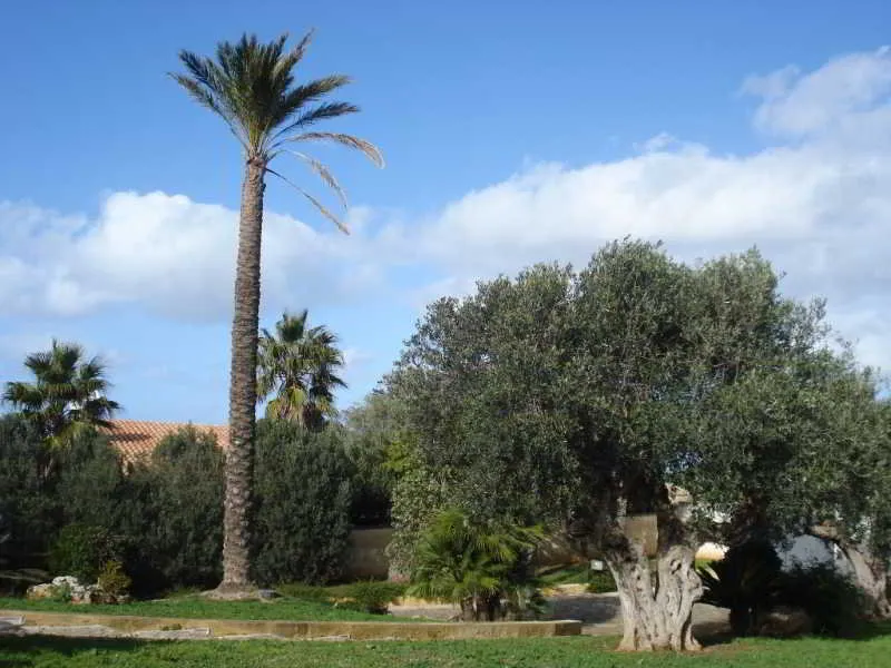 General view, Villa Carlo Resort, Palermo