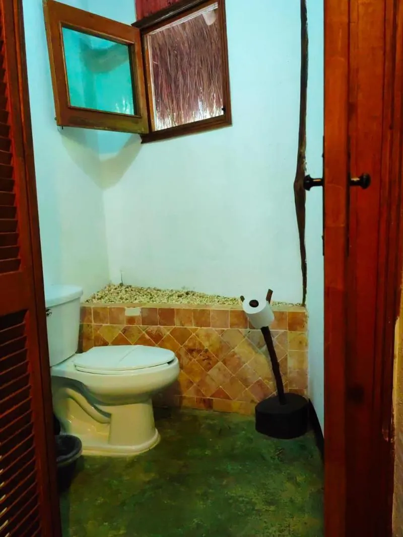 BUNGALOW STANDARD Room, Jolie Jungle, Cancun Area