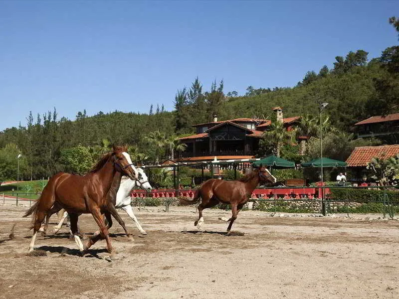 Sports and Entertainment, Hotel Berke Ranch & Nature, Antalya