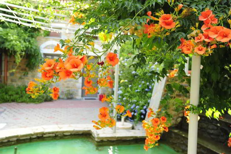 General view, Taleton Eco Guest House, Athens