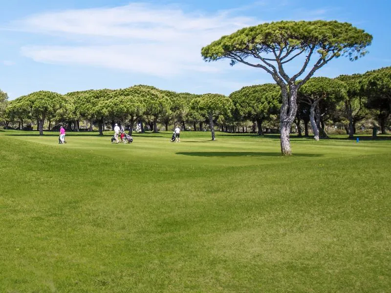 Sports and Entertainment, Vincci Costa Golf, Costa De La Luz