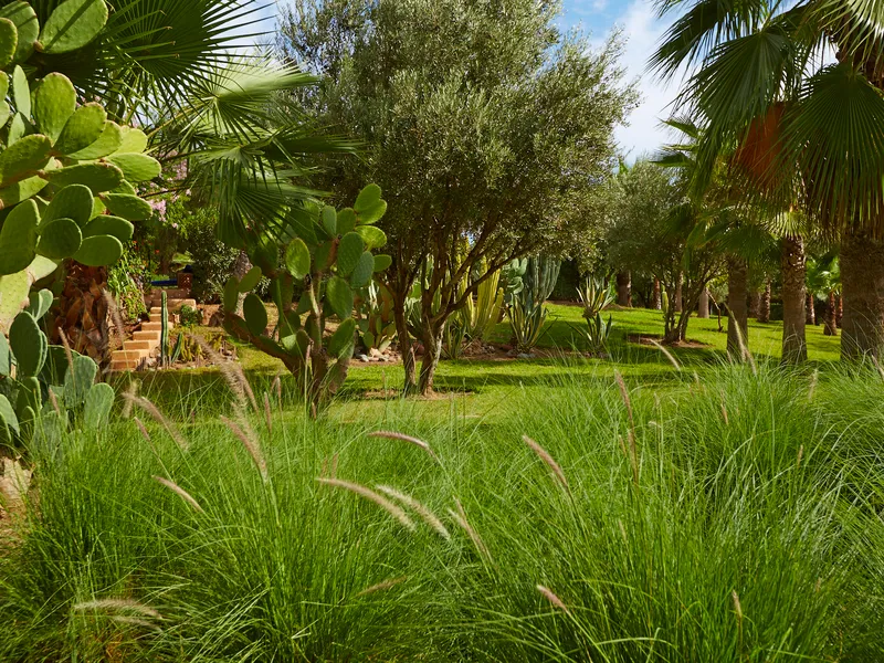 Terrace, Villa Vanille, Marrakech