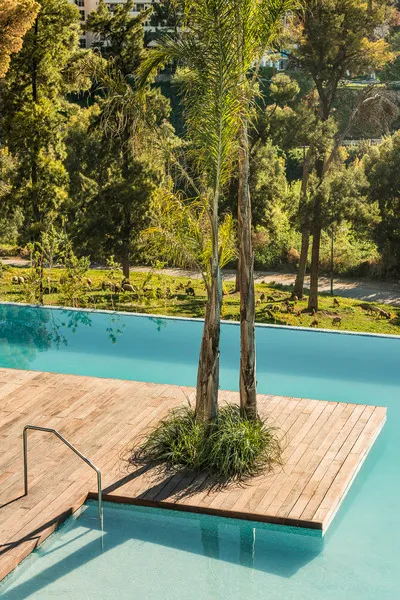 Pool, Sahrai, Fez