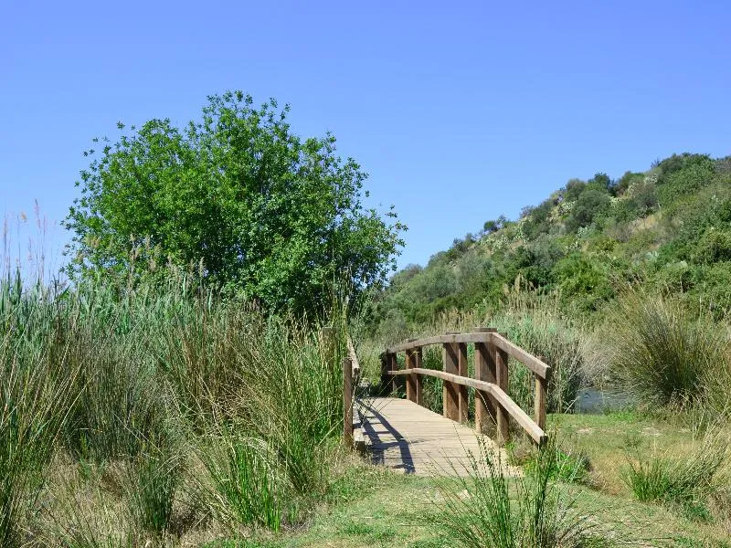 General view, Bellavista Residential, Valencia