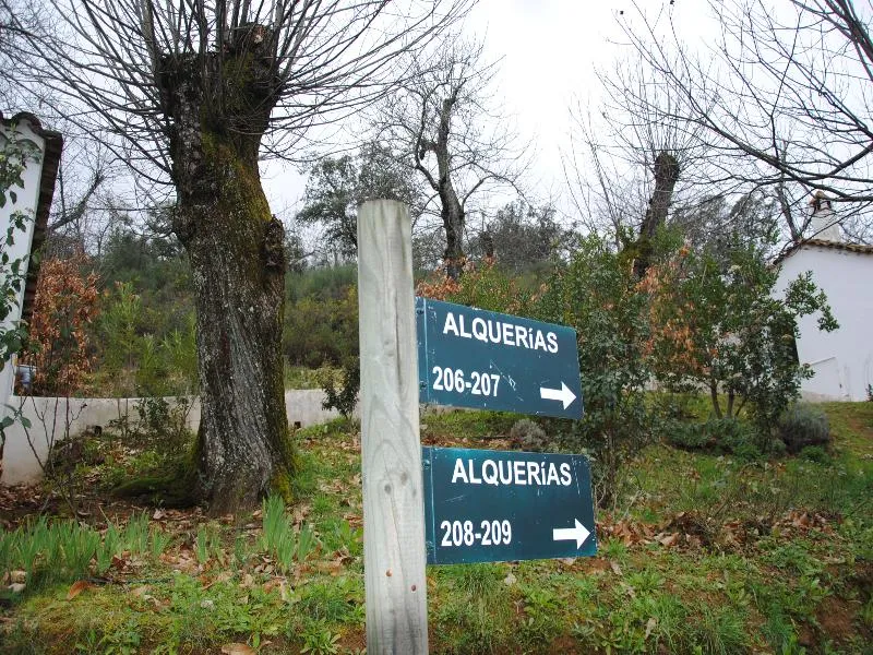 General view, Finca Valbono, Seville