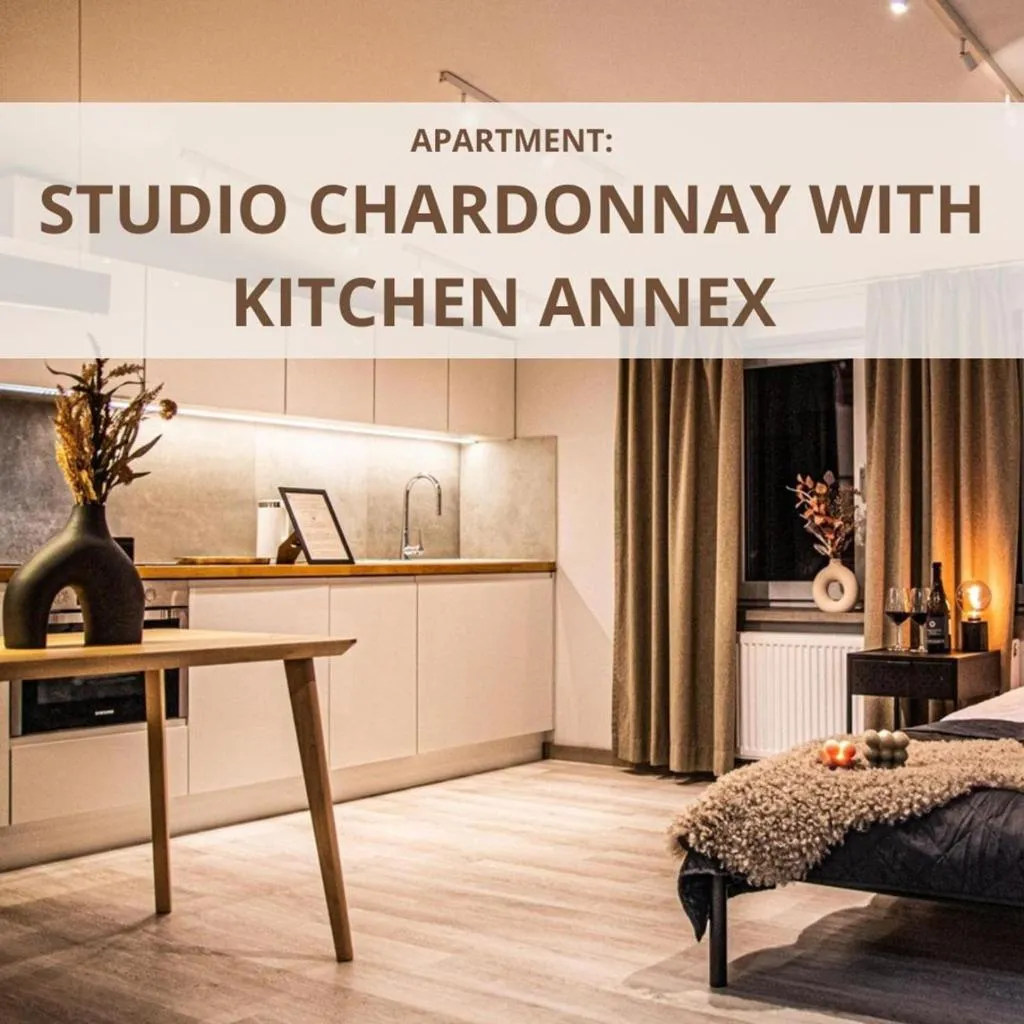 STUDIO DELUXE Room, Wine Apartments, Krakow