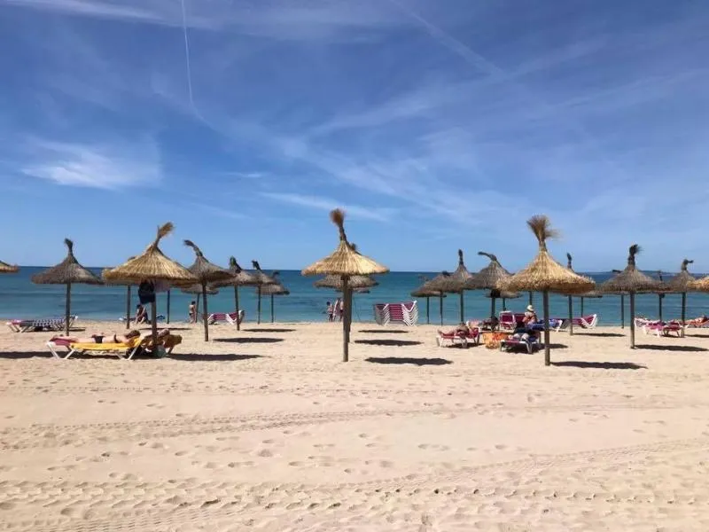 Beach, Oleander, Majorca