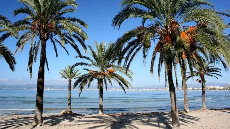 General view, Planet One Hotel, Majorca