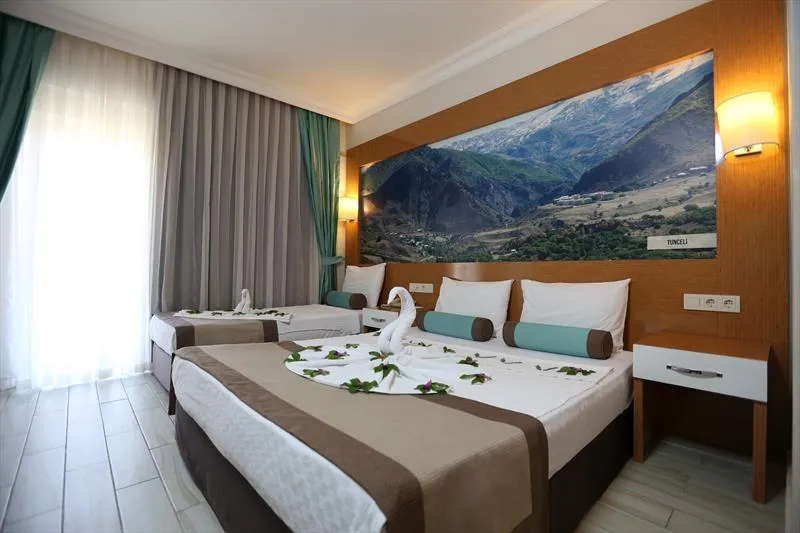 DOUBLE SINGLE USE STANDARD Room, Anita Dream Hotel, Antalya
