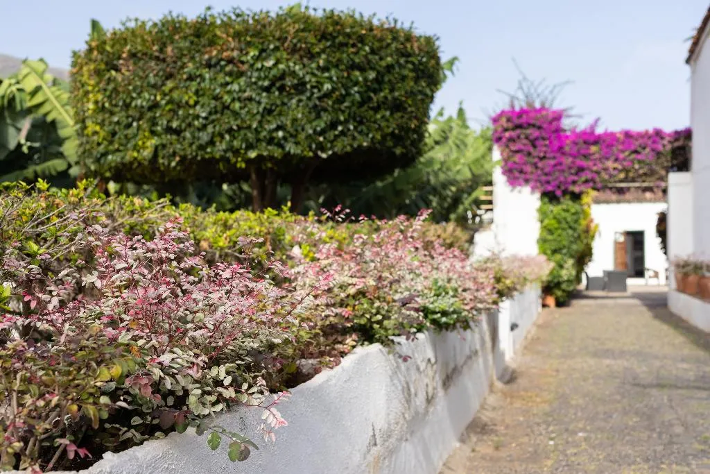 General view, Hotel El Patio, Tenerife