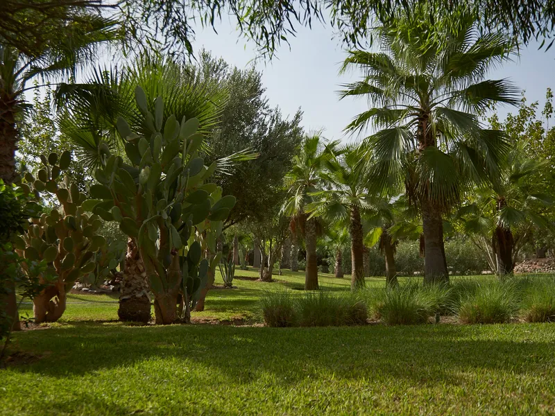 Terrace, Villa Vanille, Marrakech