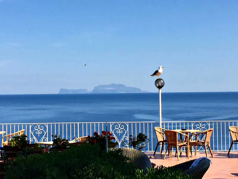Terrace, Don Felipe, Naples