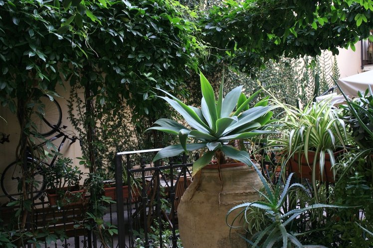 Casa Barbero Charme & Rooms, Catania