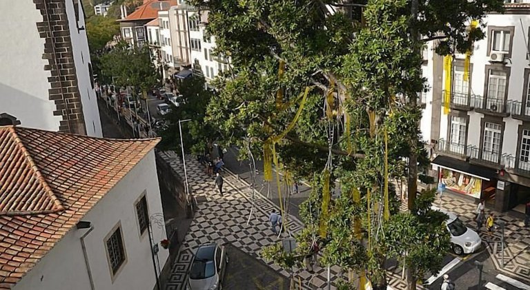 Pensão Astoria, Madeira