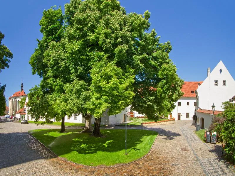 General view, Monastery, Prague