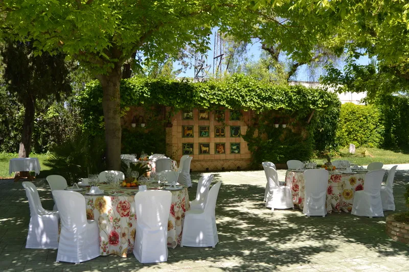 Terrace, Don Gonzalo, Andalucia