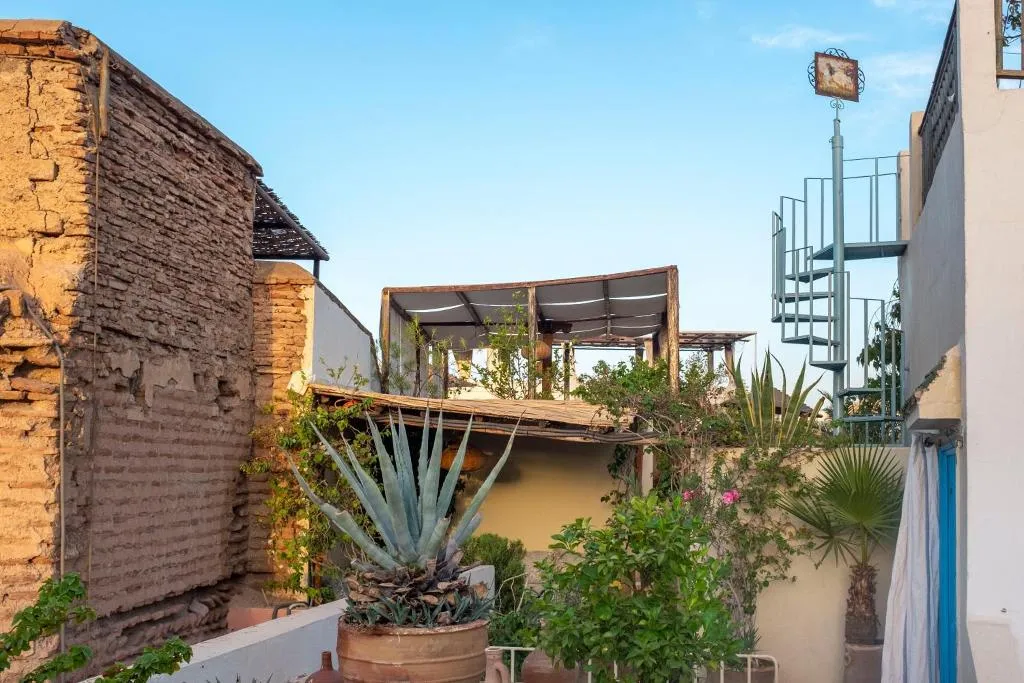 General view, Riad Le Coq Fou, Marrakech